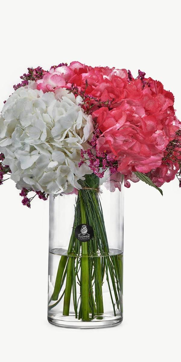 Tulip Whisper Vase