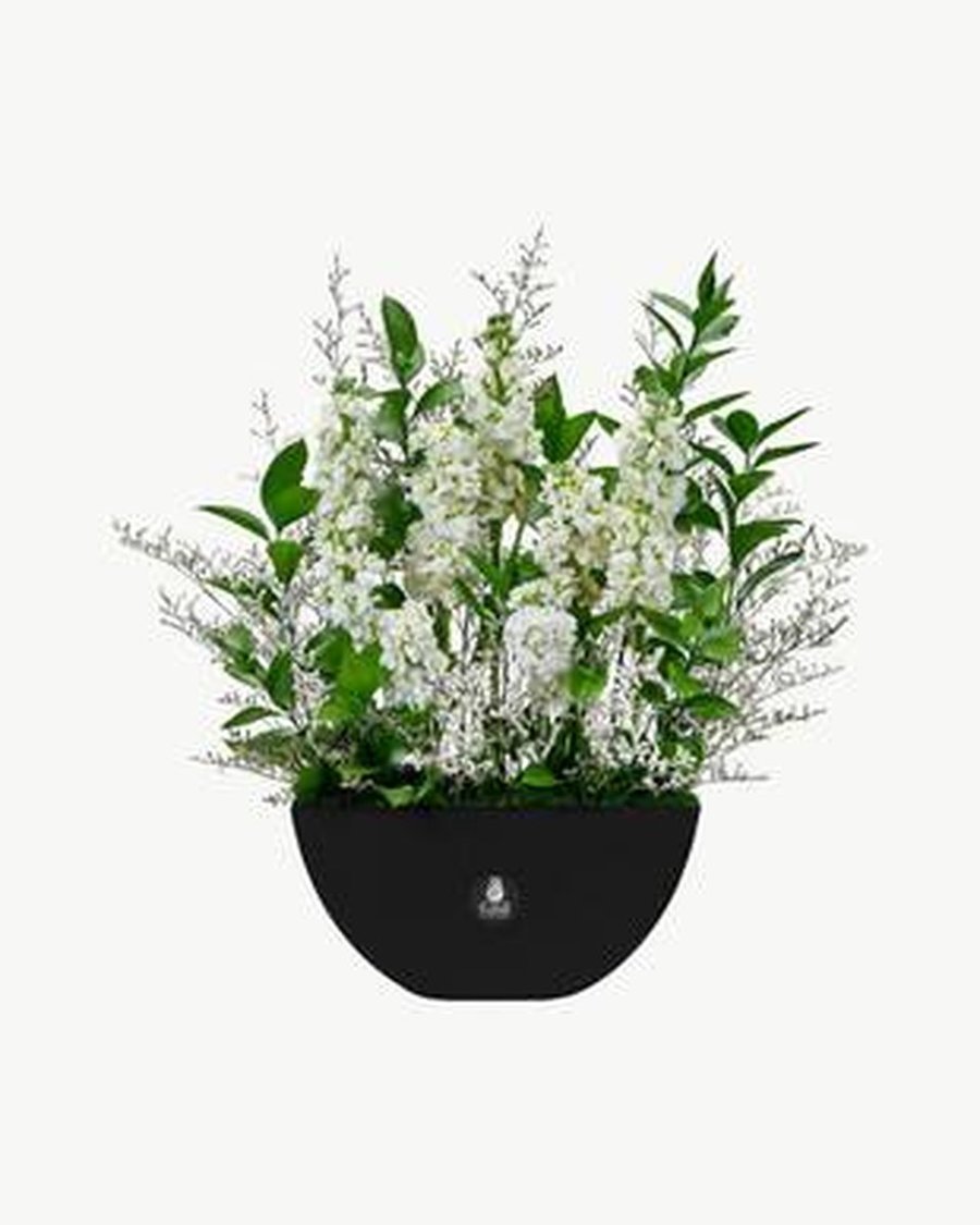 Ivory Gerbera & Anthurium Ceramic Bowl
