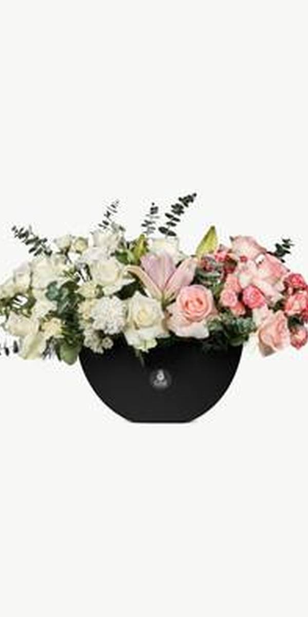 Blush Orchid & Anthurium Bowl