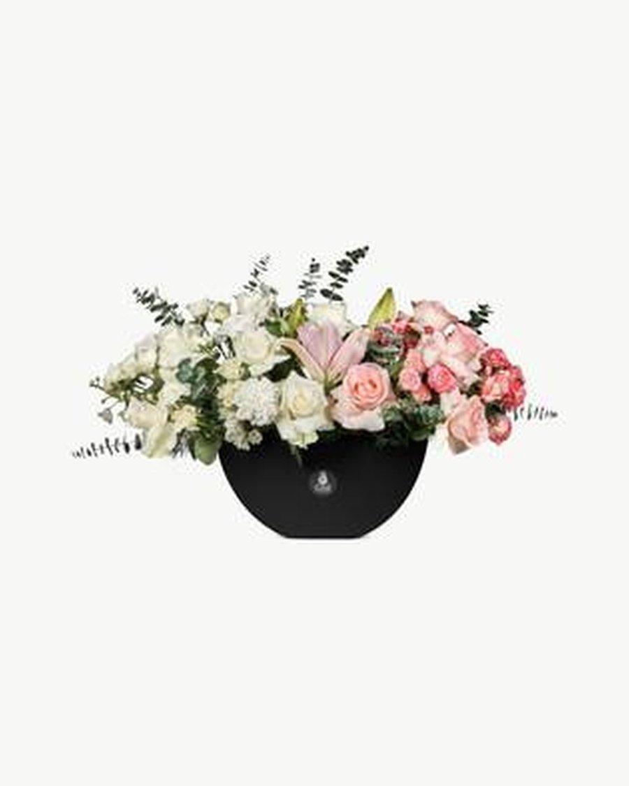 Blush Orchid & Anthurium Bowl