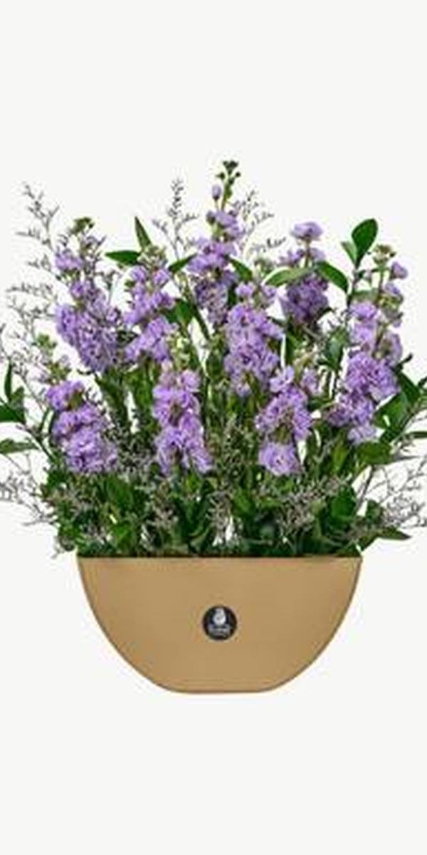 Blue & White Delphinium Vase