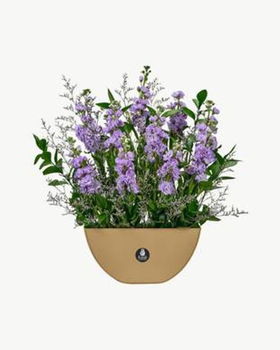 Blue & White Delphinium Vase